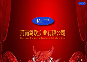 河南笃耿实业有限公司
